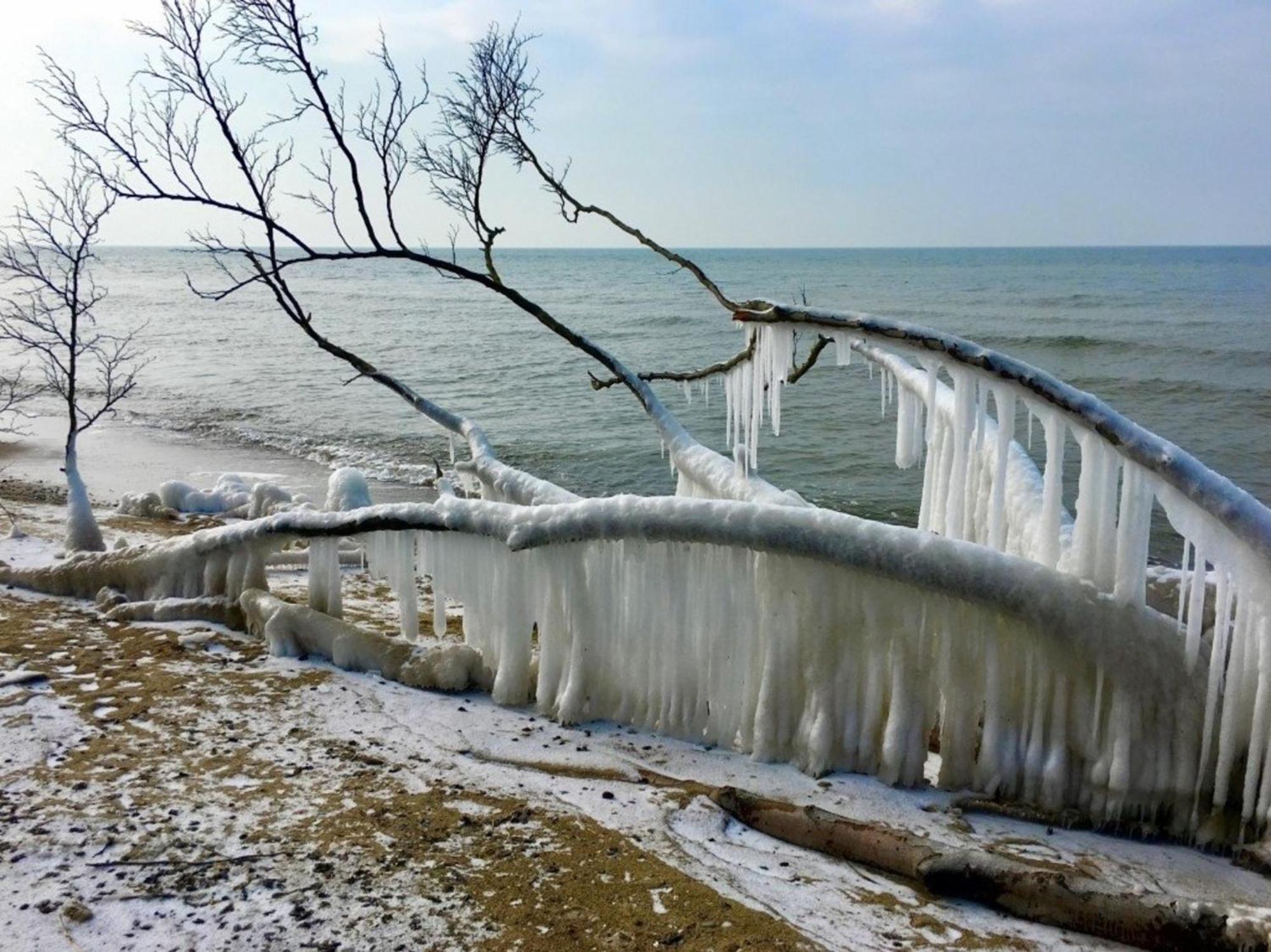 Appartamento Whg 01 - Koje M Zingst Esterno foto