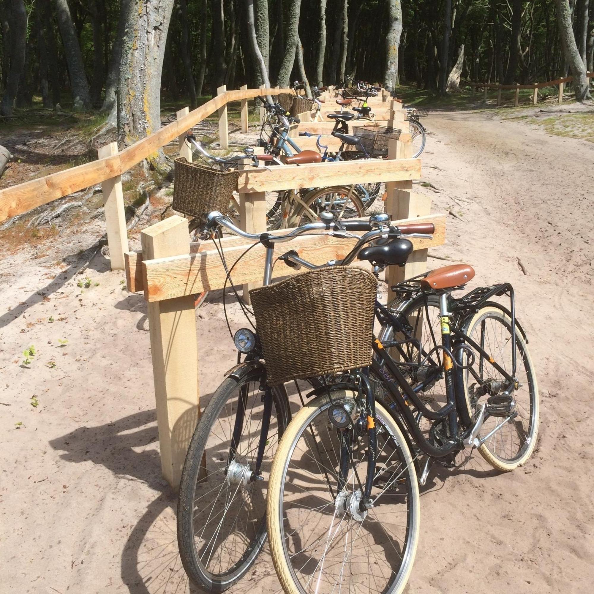 Appartamento Whg 01 - Koje M Zingst Esterno foto